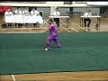 Wushu Wudan Sword