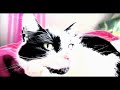 Venetian Snares - For Bertha Rand