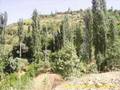 g�l ahmet yi�it