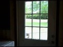 Aug 19 2008 - VID00010