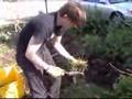Lawns To Gardens - The Energy Crisis Show