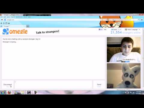 Omegle Reactions to a Furry - Part 2