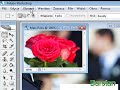 Jak zmniejszyć zdjęcia w Photoshopie Jak zmniejszyć zdjęcia w Photoshopie