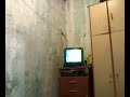 Edson Sorris�o