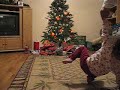 brittney ice skate trick brittney ice skate trick