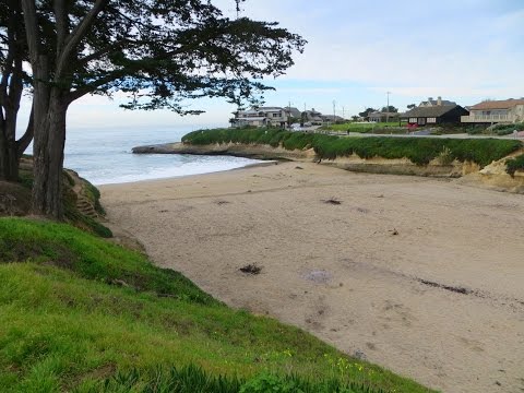 Video for Sunny Cove