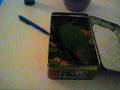 videos de lovebird on a rampage