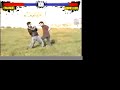 ISIA FIGHTER