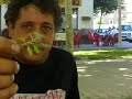 Lendakaris muertos - oso panda