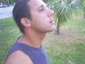 Bolinhas de cuspe Bolinhas de cuspe