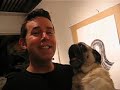 pug sings \"take me out to the ballgame\" pug sings \"take me out to the ballgame\"