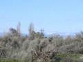 lake lowell at nampa