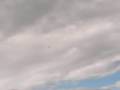 Art-Tech Cessna 182 i Tingsryd