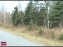 Wooded 10 Acres For Sale In Prentiss Maine! #7607
