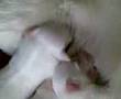 unconditional mothers love