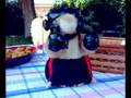 videos de Rocky VIII