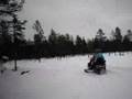 Snowmobile in Dalarna