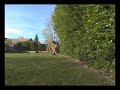 Green Screen/Muzzle Flash Test