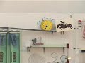 Relive the moment! Singapore 2010 Logo Launch Mechanism by NTU students!