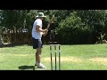 Backyard Cricket DozCG Nice Wicket