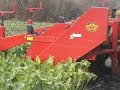 Bietenrooien 2 fasen-systeem met Zetor, Case & Deutz