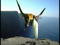 Evasion Evasion