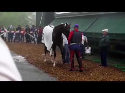 how to bid on kentucky derby