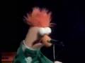 Beaker (from muppets) Sings Yellow By Coldplay