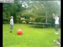 Ball to the Face Ball to the Face