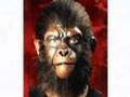 Than Shwe - Dog, Pig, or Ape ?
