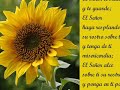 Abel Zavala No hace Falta