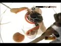 allen-iverson.html