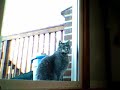 Knock Knock!