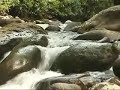 pomac-forest-historic-sanctuary.html