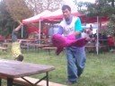gigolo Manele-Gratis.net