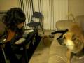 videos de optimo