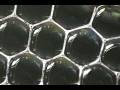 videos de Bubble Packing Dynamics