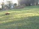 Movie_0003.wmv