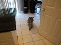 See Video