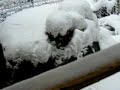 WinterSnowGrassValley2008