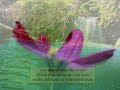 Sathya Sai Baba - Divine Inspirations 6