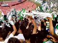 raja,GB05,Derby