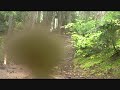 Whistler/North Shore