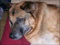 Max R.I.P miss yoo