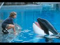 Free willy tribute i love you