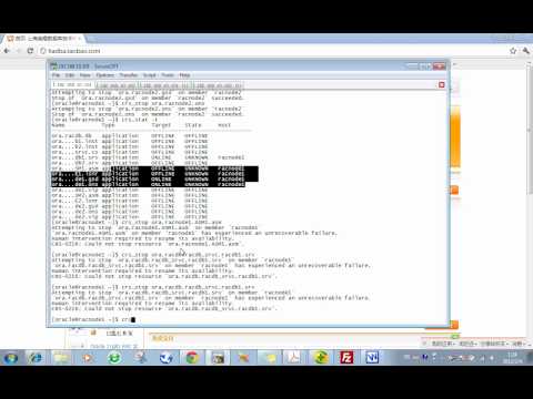how to patch rac database