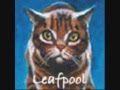 ~ Leafpool and Crowfeather ~ Bring me to life