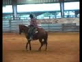 Very Talented Working Cow Horse--NRCHA