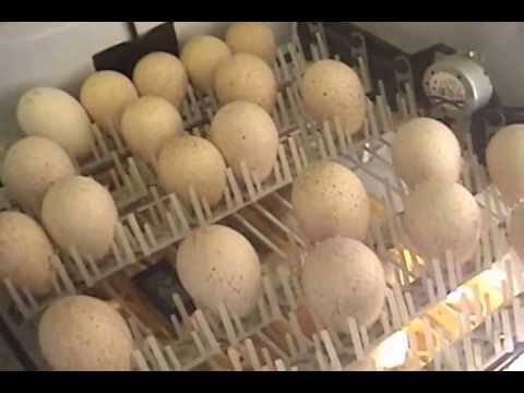 how to control humidity