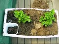easyveg